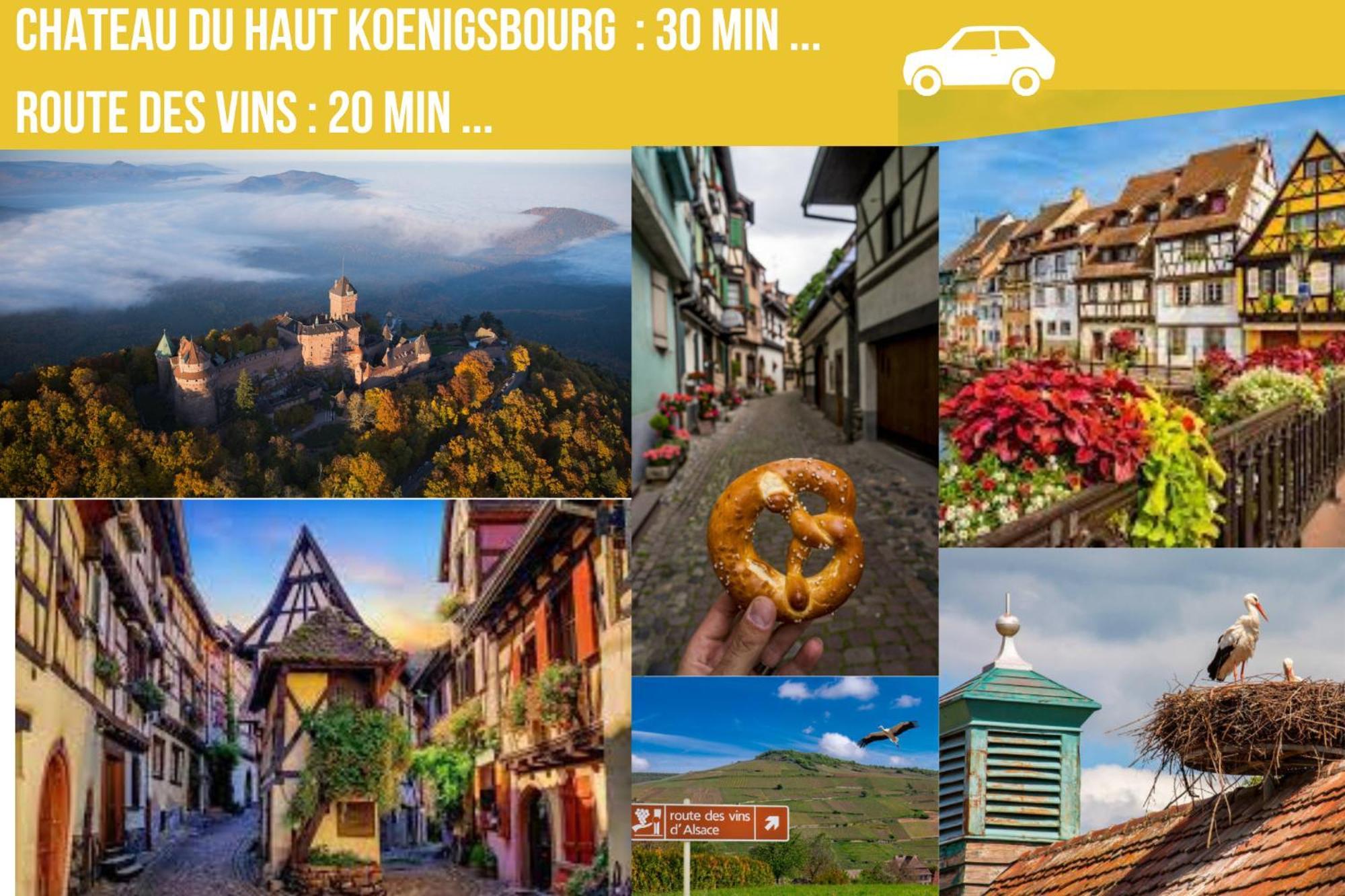 Charmant Cottage De Village Wittisheim Dış mekan fotoğraf